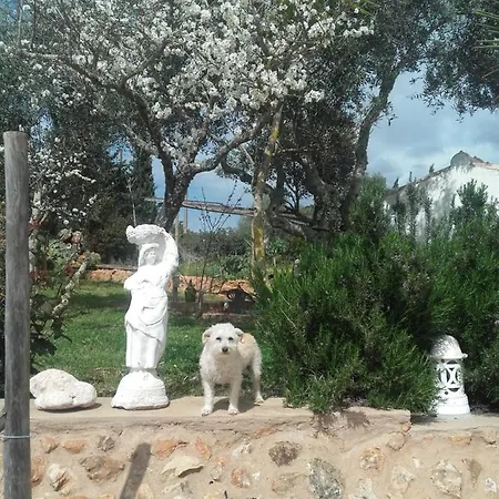 Vivenda Das Alfarrobas * Praia Da Luz
